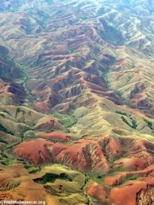 deforestation à Madagascar Stop Population