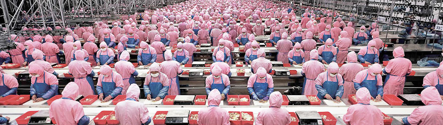 surpopulation mondiale : usine de poulets en chine, Province de Jilin, Dehui